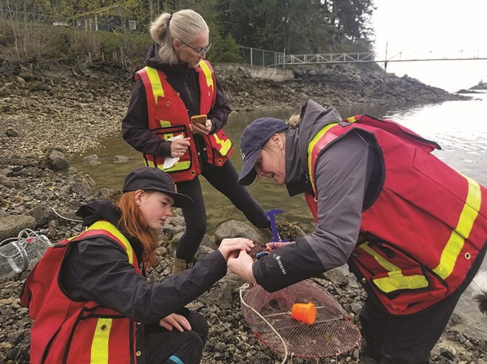 cloon-foundation-invasive-crab-monitoring_d