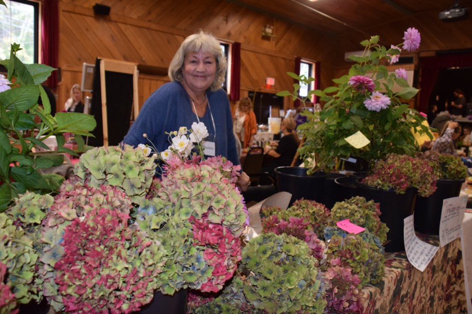 Paulette showed off amazing hydrangea blossoms at the marketplace.