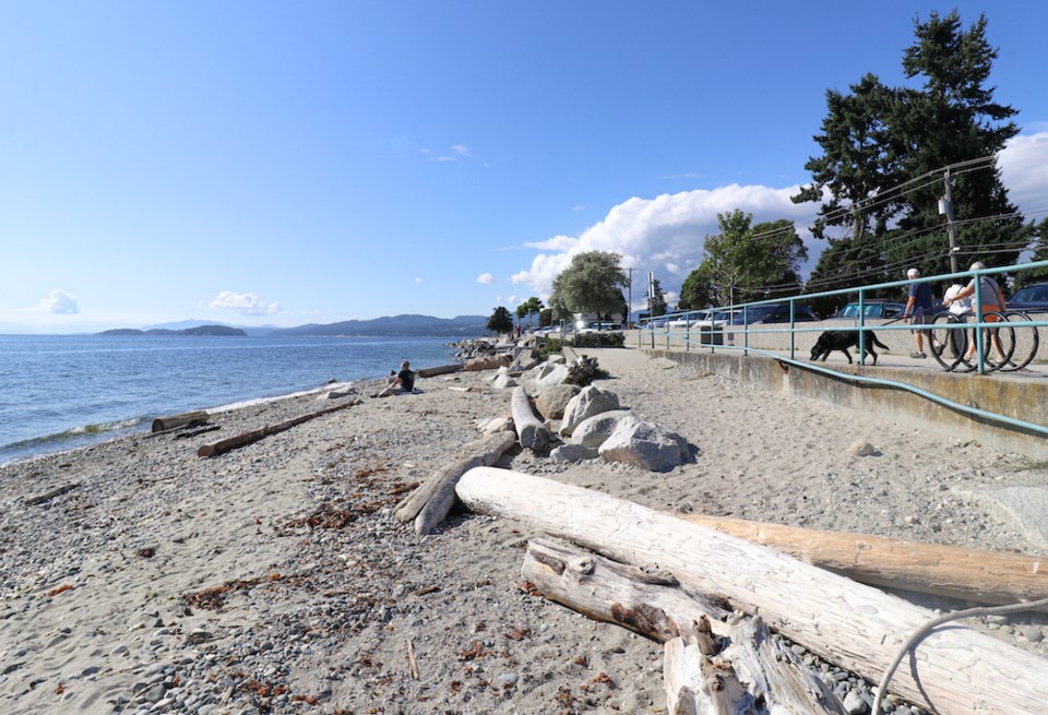 beach-with-sand-and-logs