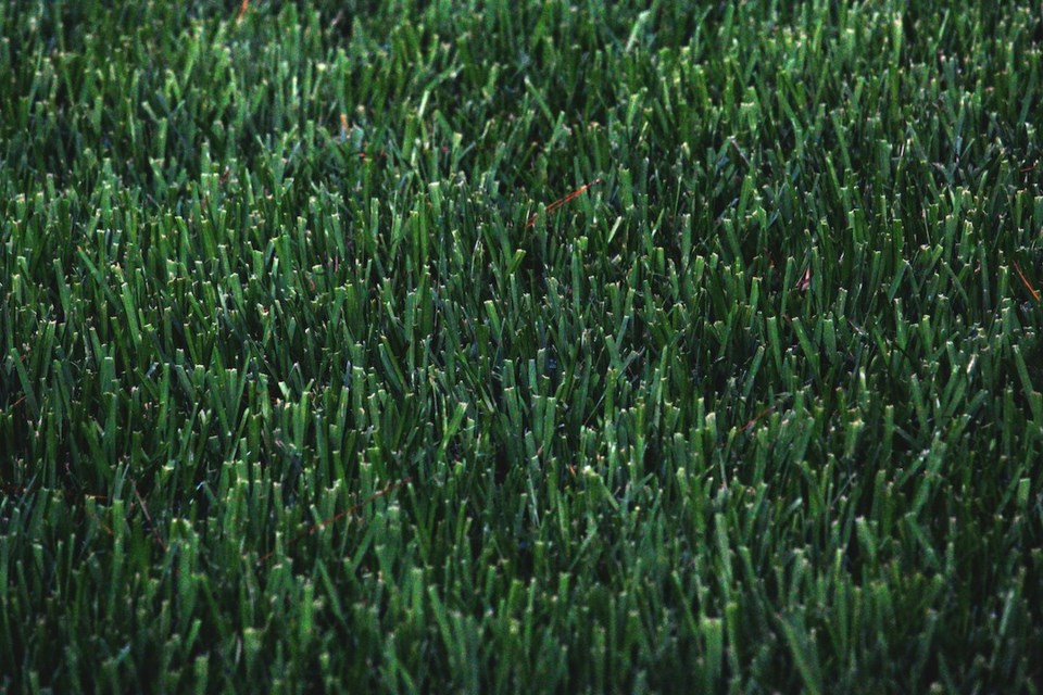 artificial-turf