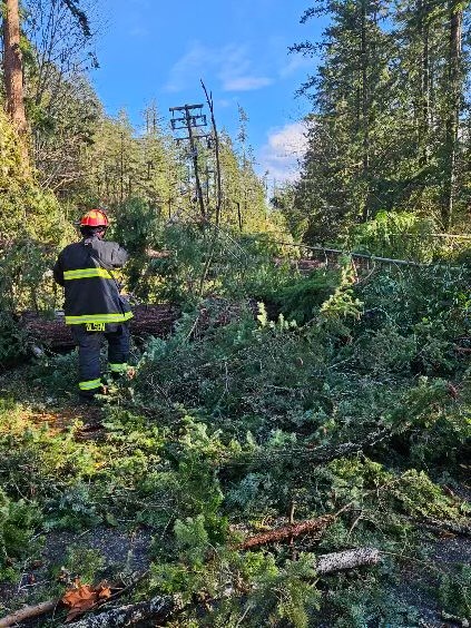 First responders tackle the trees that fell in Halfmoon Bay during the Nov. 4, 2024 windstorm.