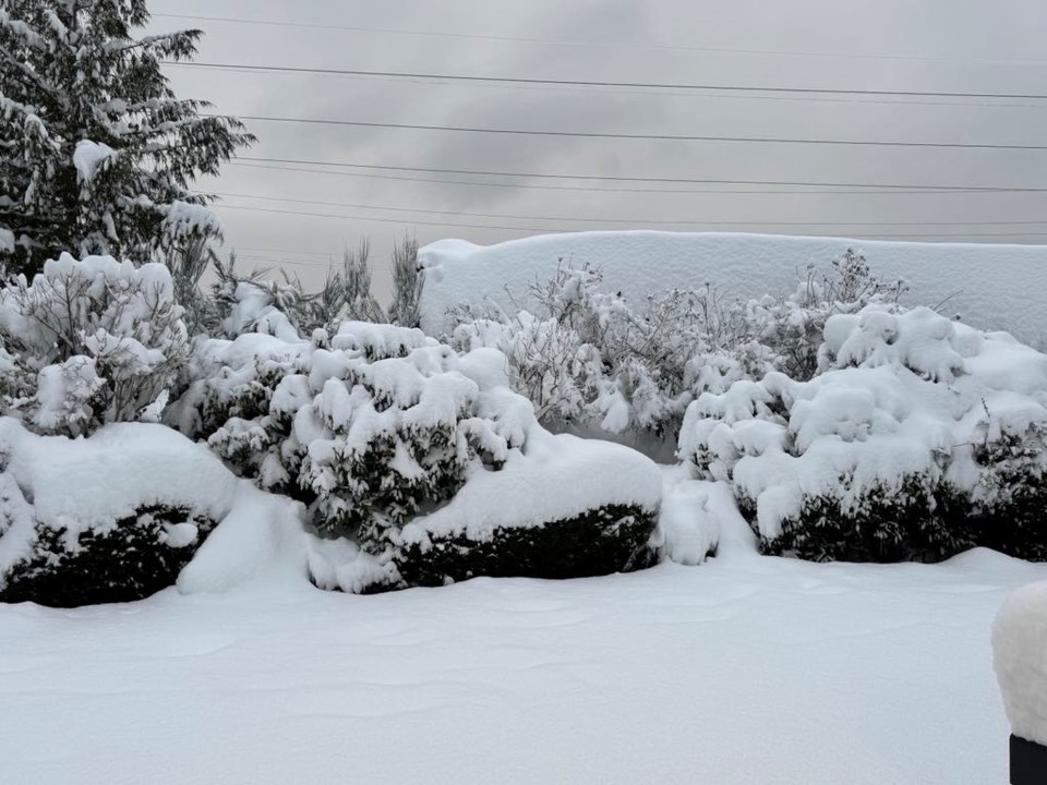 snow-sechelt