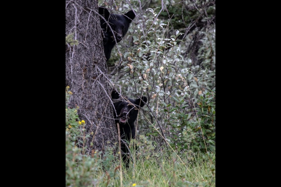 Chicago Cubs on X: The Cubs are saddened by the loss of Bears