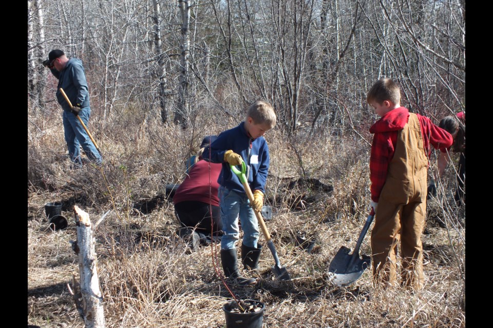 Volunteers planted hundreds of trees in and around Riverfront Park on May 13 and 14.