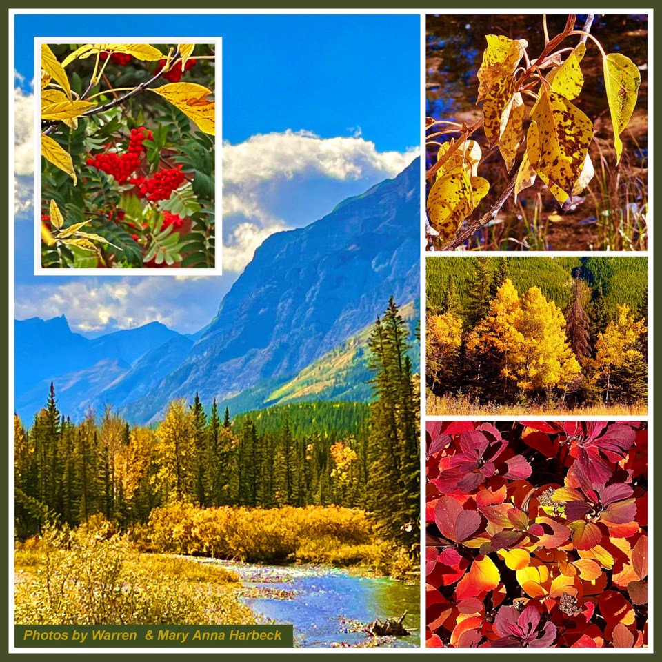 collage-cww241003-k-country-autumn-e11-8x8-frm