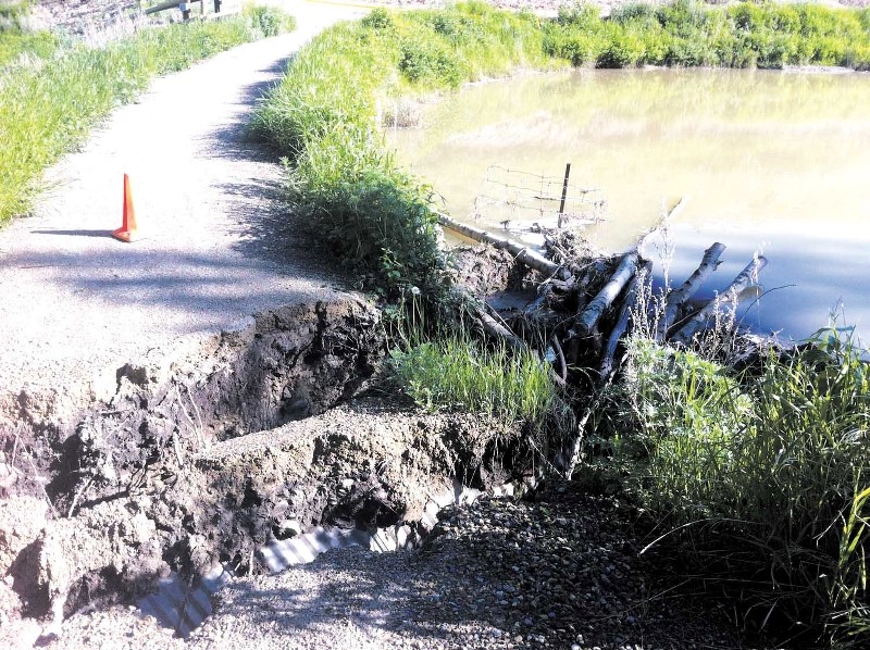 A number of trails in Glenbow Ranch Provincial Park were destroyed by extended rains that caused severe flooding in Southern Alberta.