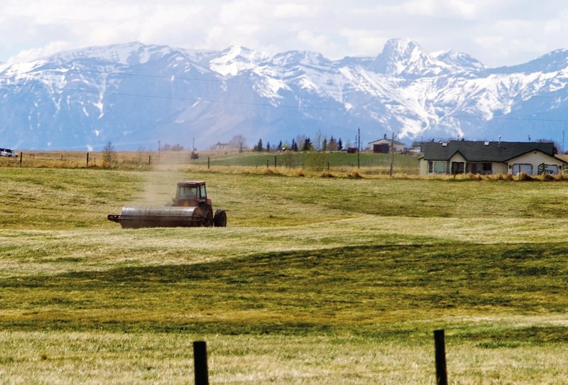 A farmer north of Cochrane preps for summer season.