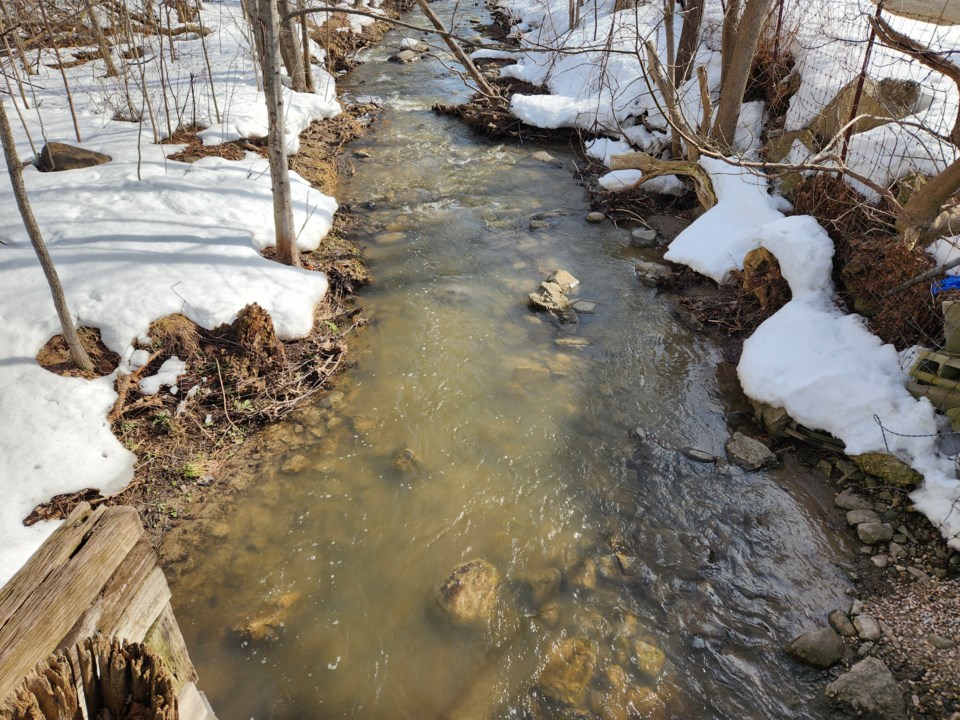 grey-sauble-water-courses