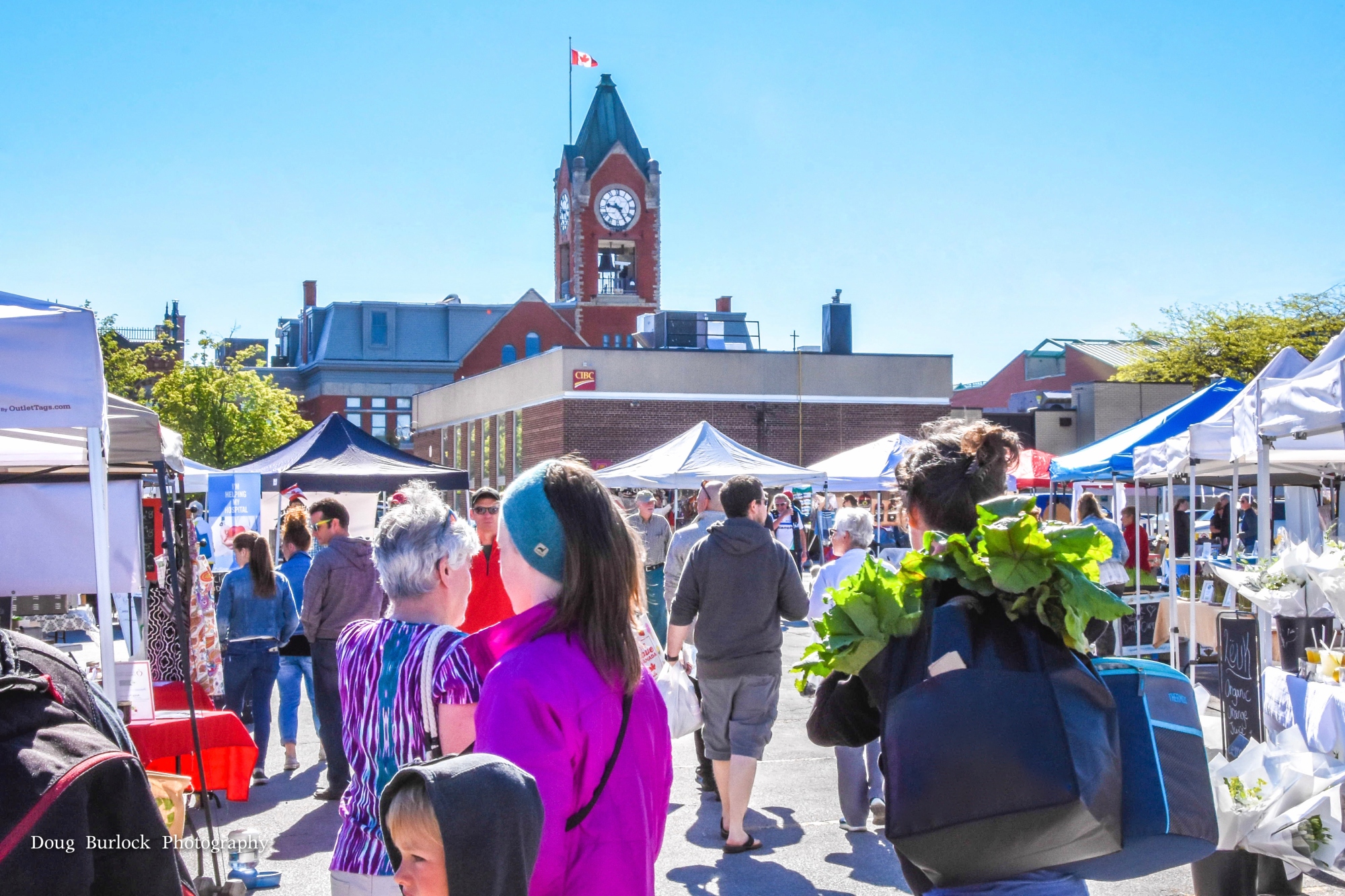 Collingwood Farmers Market set returning this weekend - Barrie News