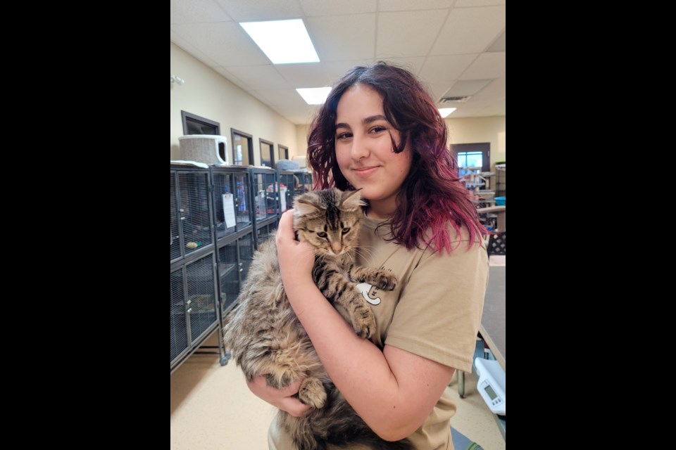 Eve Borisova,17, is doing her high school co-op at the Georgian Triangle Humane Society but volunteers many more hours than is necessary through her dedication to helping animals. 