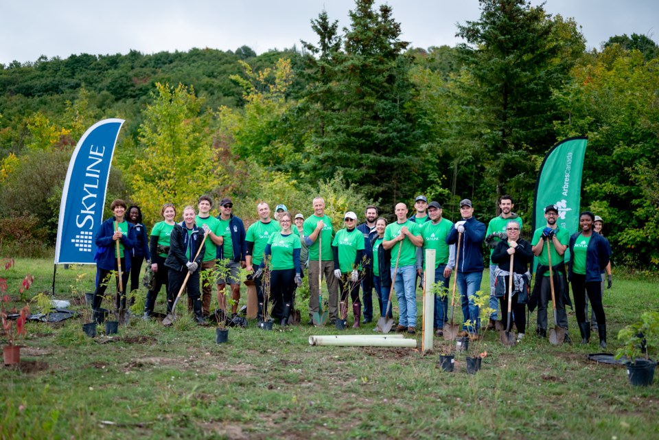 SkyDev Team Tree Planting Collingwood-Meaford