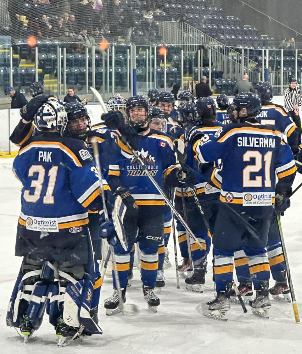 Blues win second playoff game in Brantford - Collingwood News