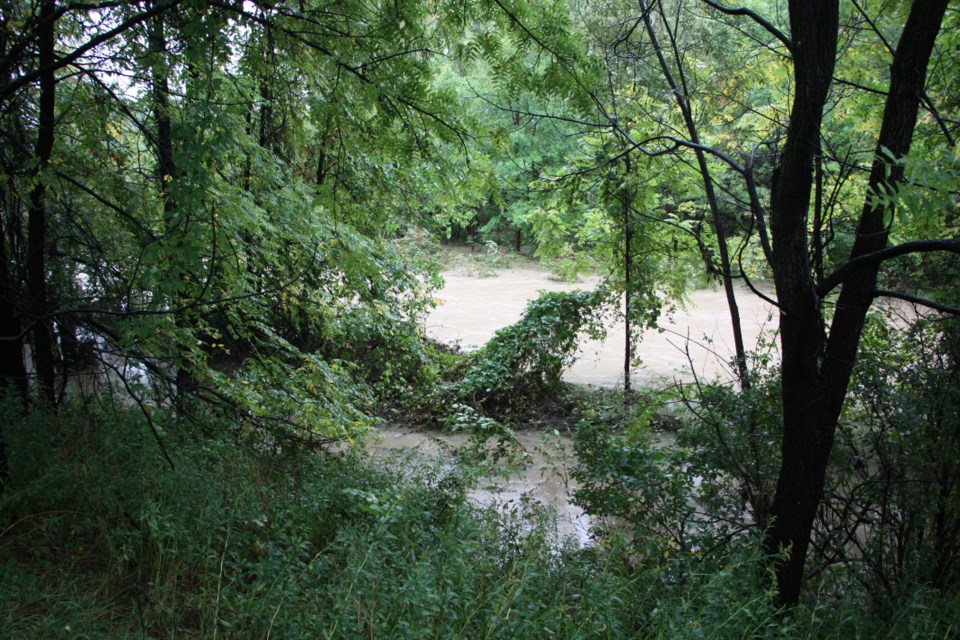 The Pretty River Dike is shown in this file photo.