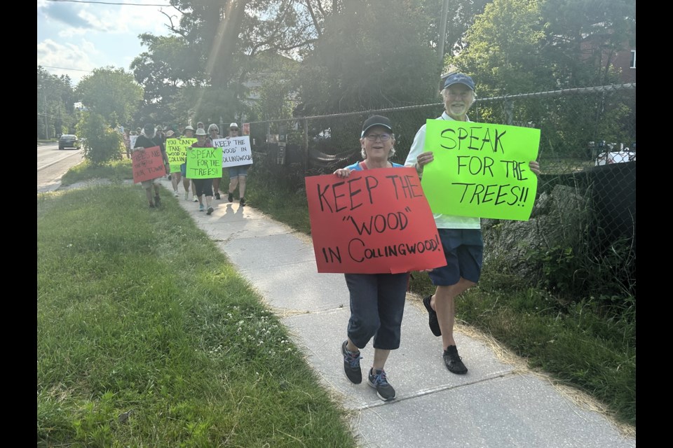 Protesters opposed to the removal of 36 trees on the north side of Sixth Street walk the street on June 17, 2024.