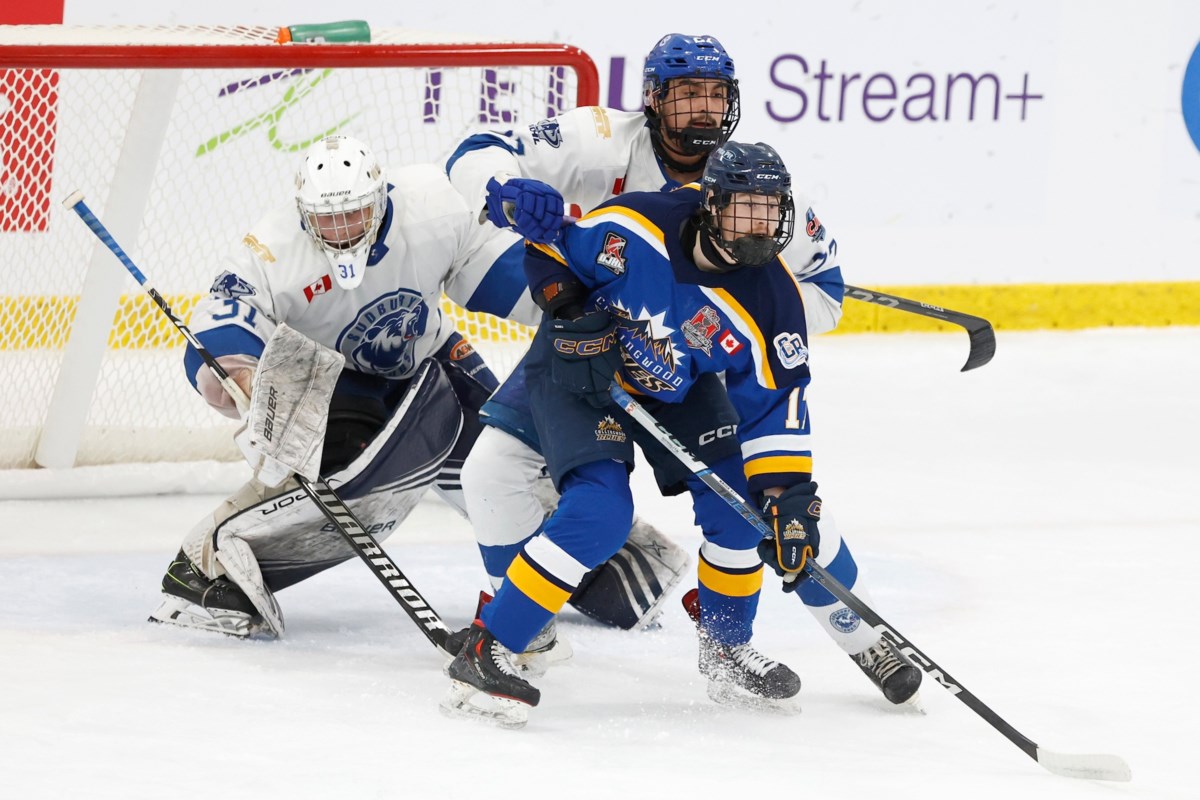 Blues bounce Cubs in Centennial Cup - Collingwood News