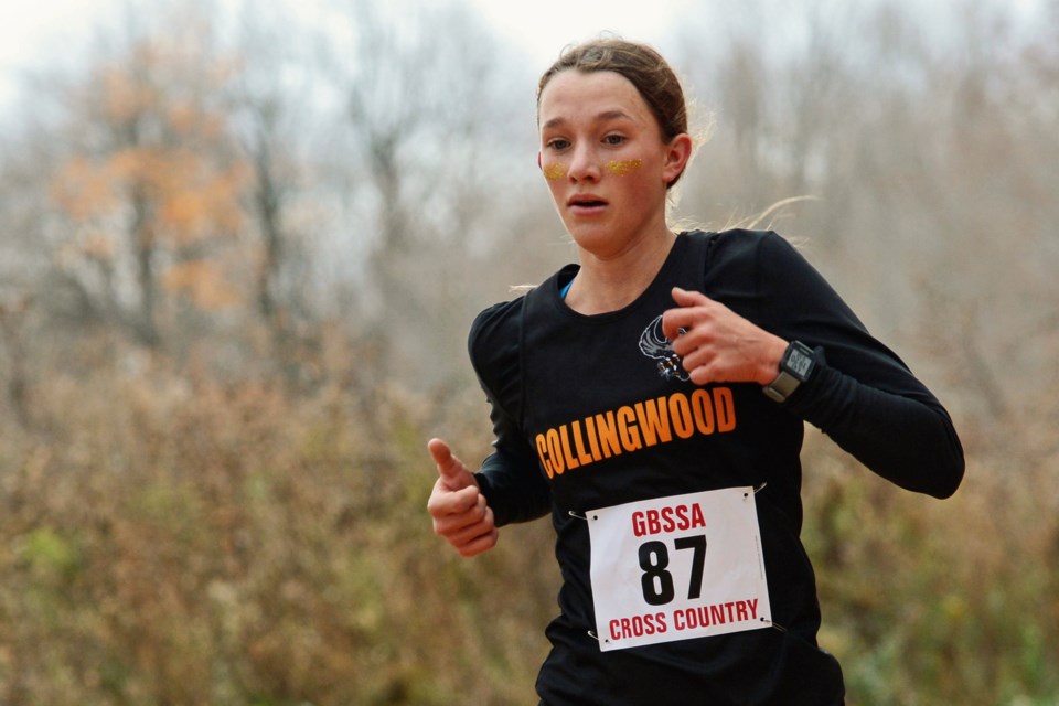 CCI runners make history with regional sweep - Collingwood News