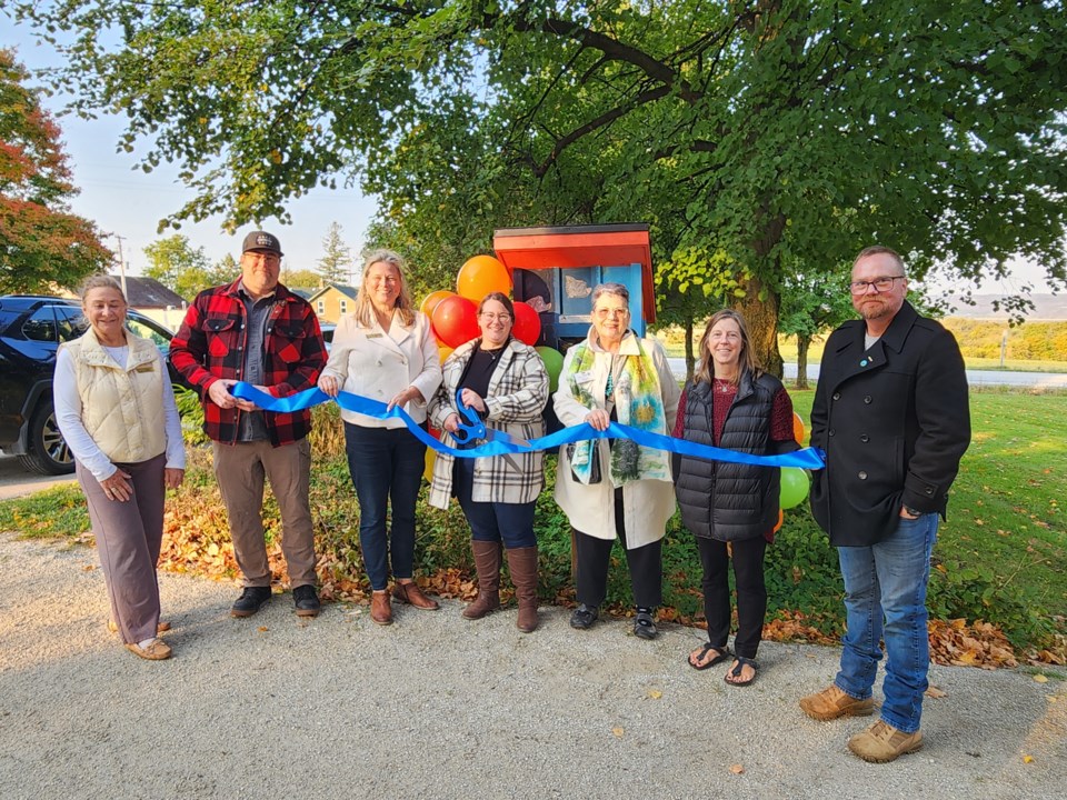 little-libraries-tbm