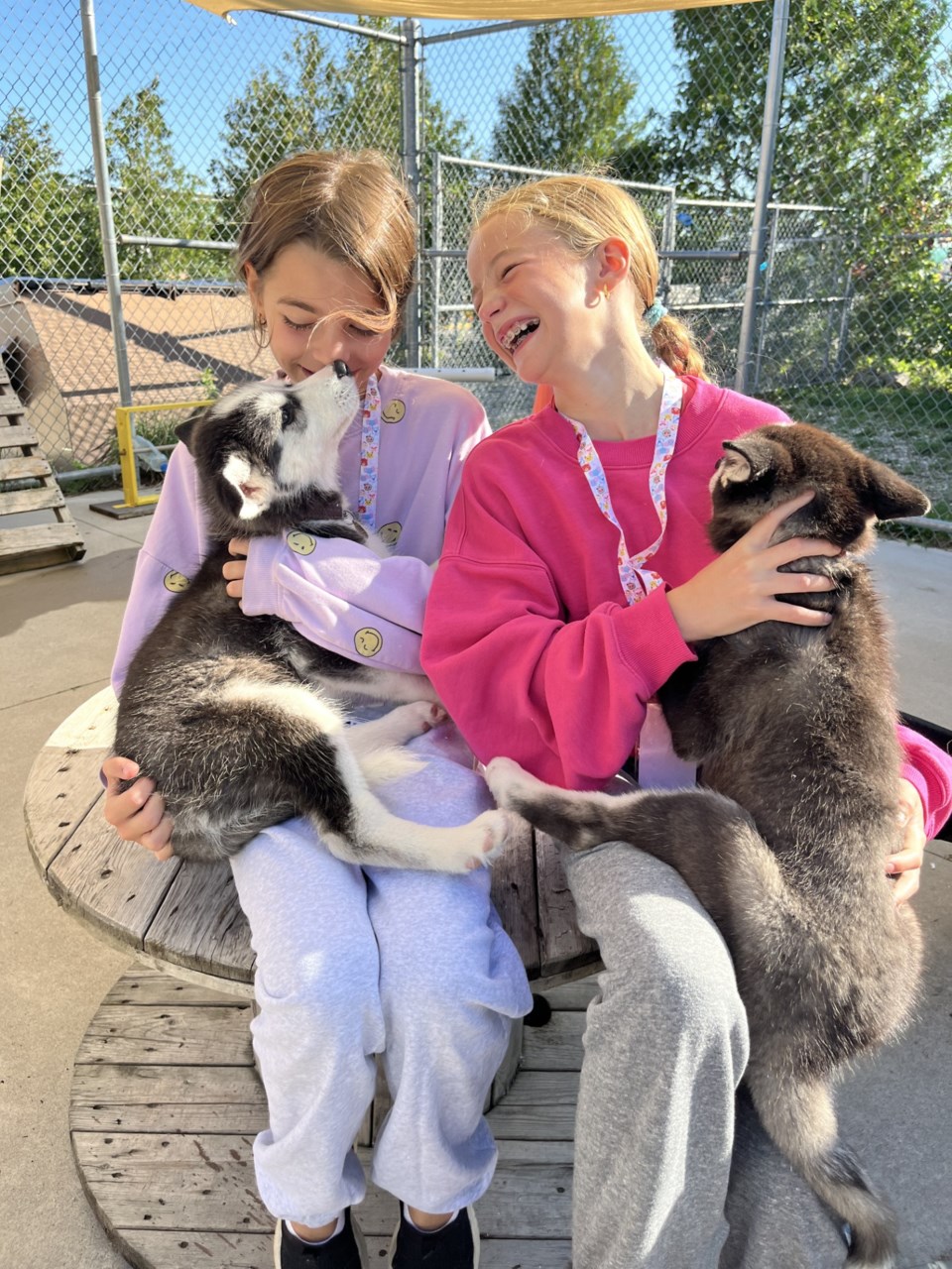 emily-and-emerson-with-aspen-and-clover1-1