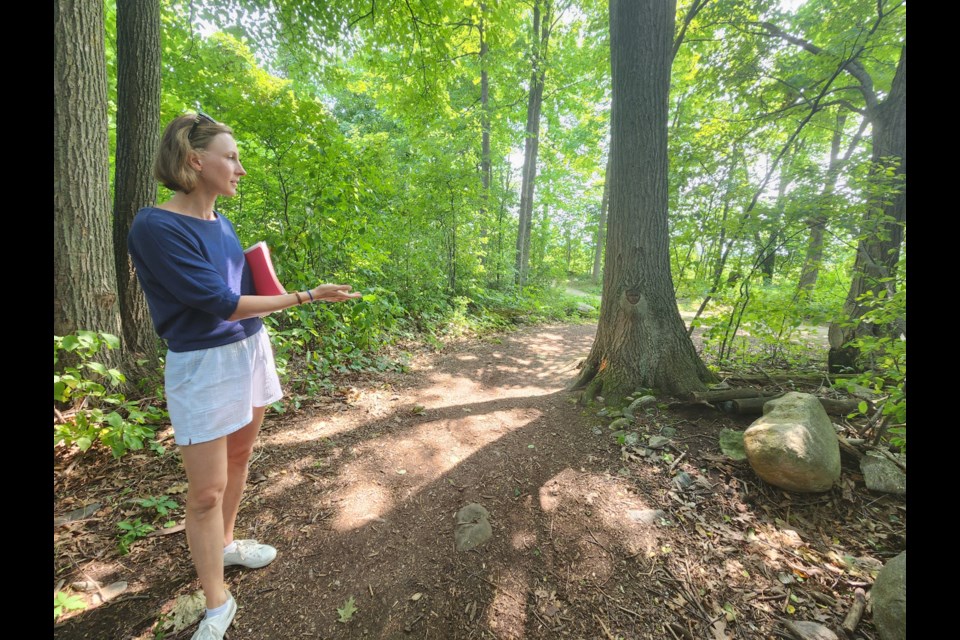 Sarah Waggott point to a mature oak tree on the short path on the Alice Street road allowance that leads to the Beaver River Trail.