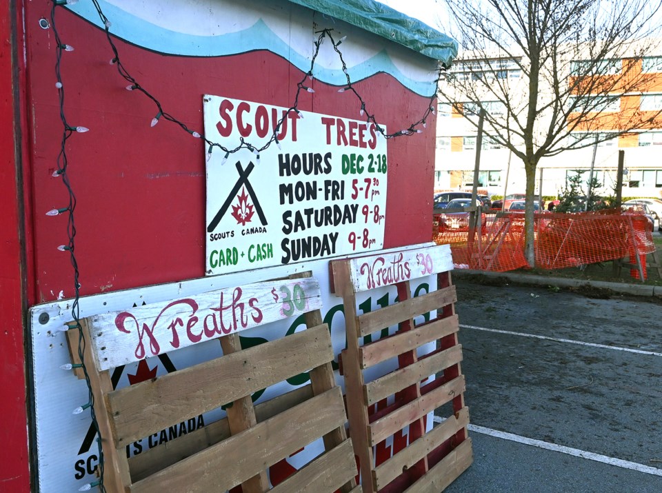 Metro Vancouver Scouts Christmas Tree Lot Hit By Thieves Delta Optimist