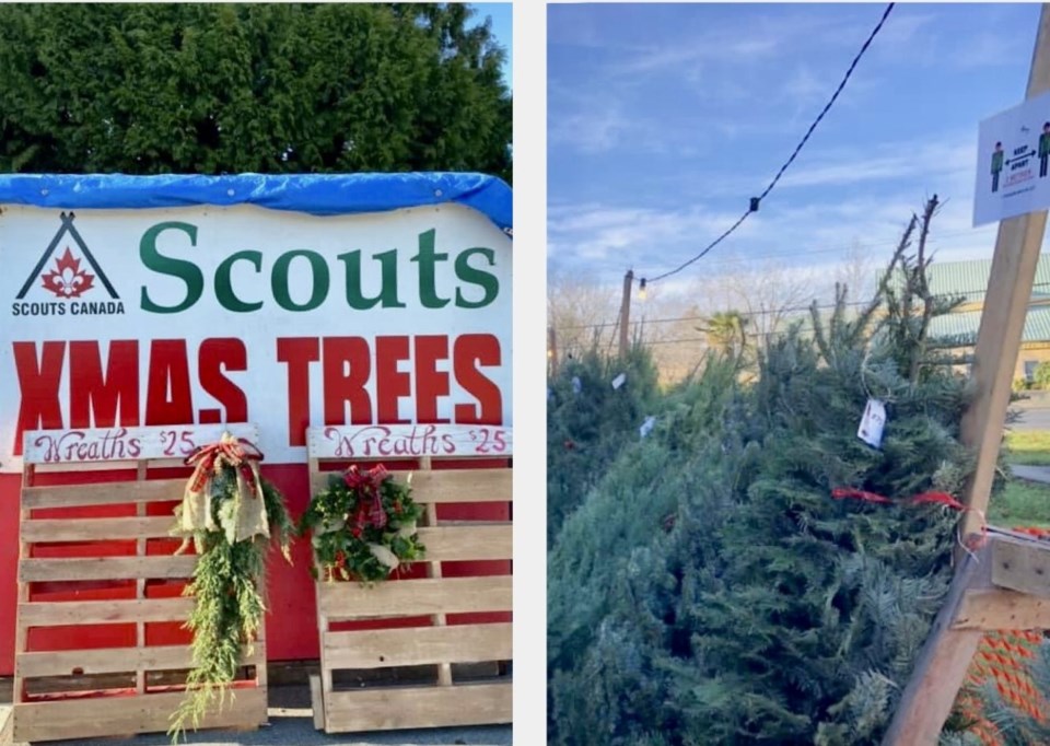 Christmas tree theft just plain sucks Delta Optimist