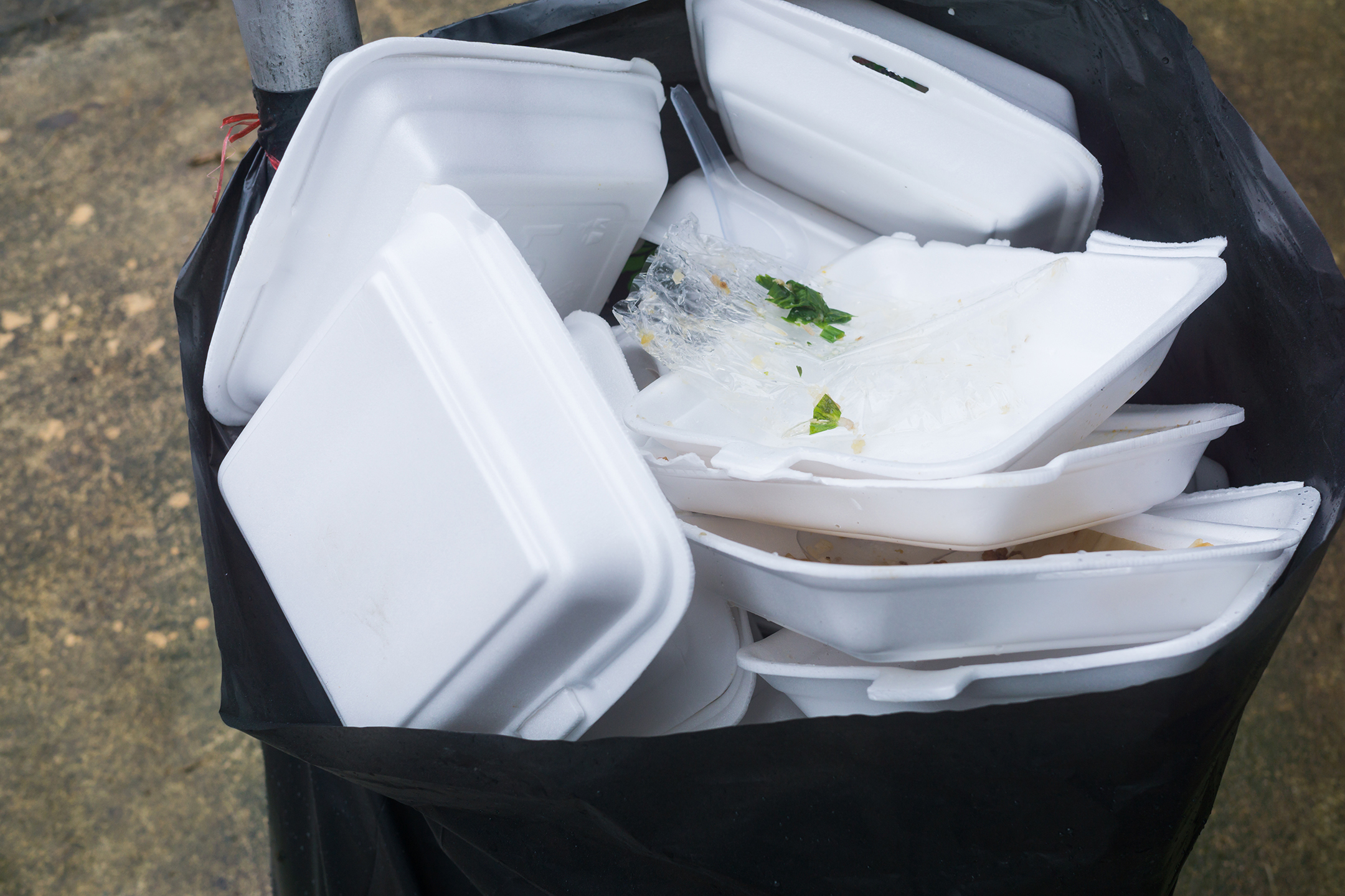 Styrofoam Recycling & Disposal – City of Kirkland