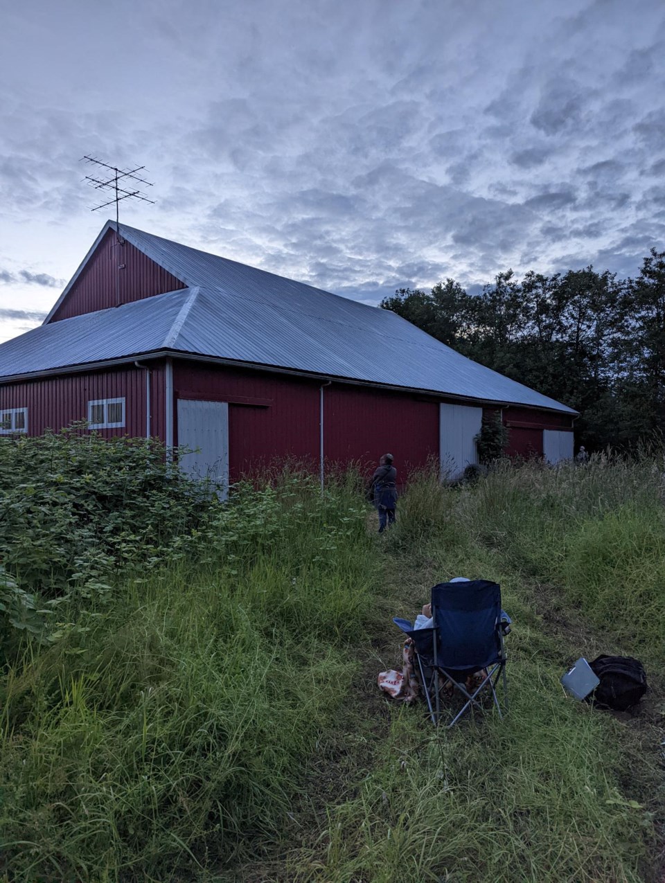 bat-counting_ddagenais-1