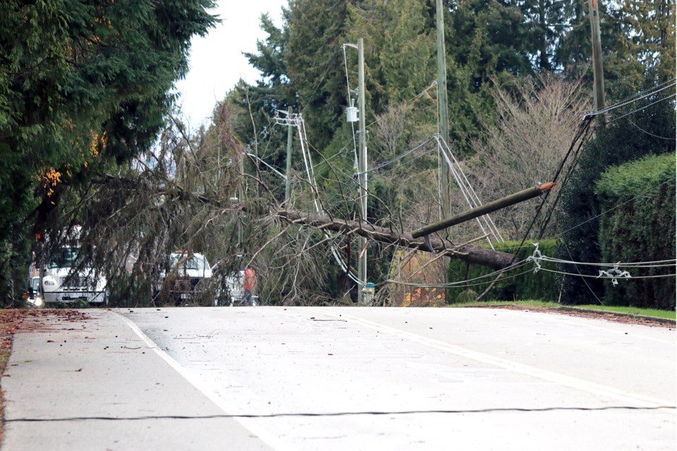 BC Hydro crews are working hard to restore power in a small area of Tsawwassen due to a tree that came down on hydro wires during Tuesday night’s windstorm.