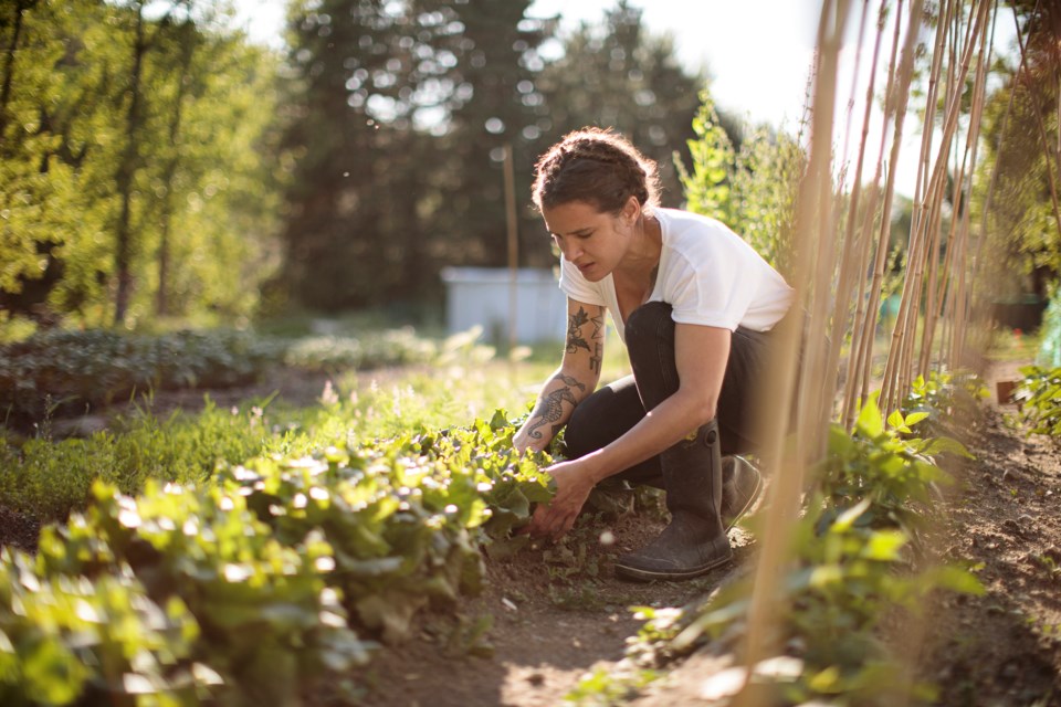 working in the garden