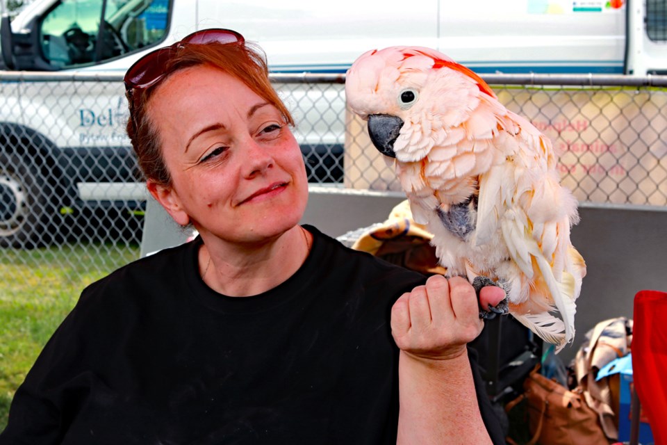 The Delta Community Animal Shelter held its Animal Expo at Memorial Park in Ladner on Sunday, Aug. 11.