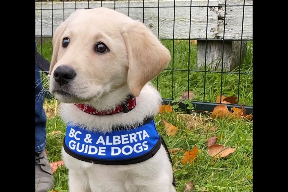 The new Breeding & Training Centre of Excellence will provide more expertly trained guide dogs, autism service dogs and OSI-PTSD service dogs.