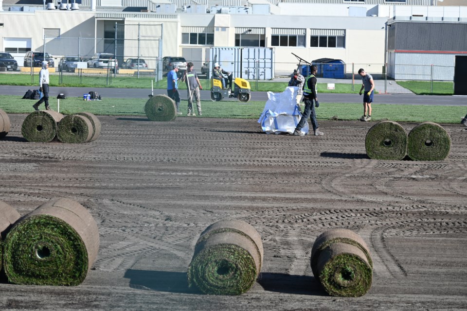 A lot of sod was rolled out this week.