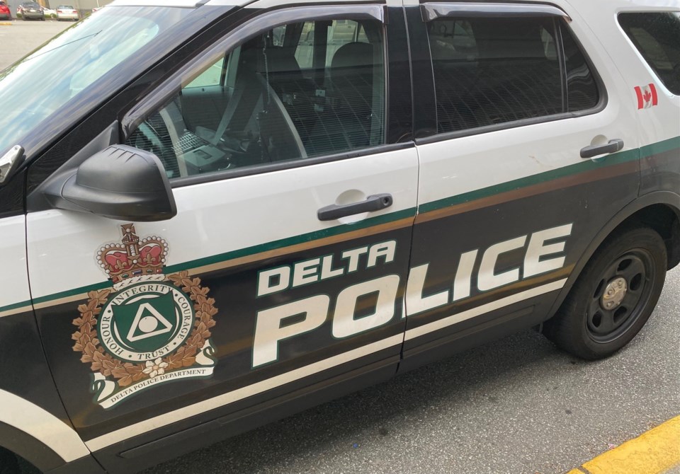 dpd-delta-police