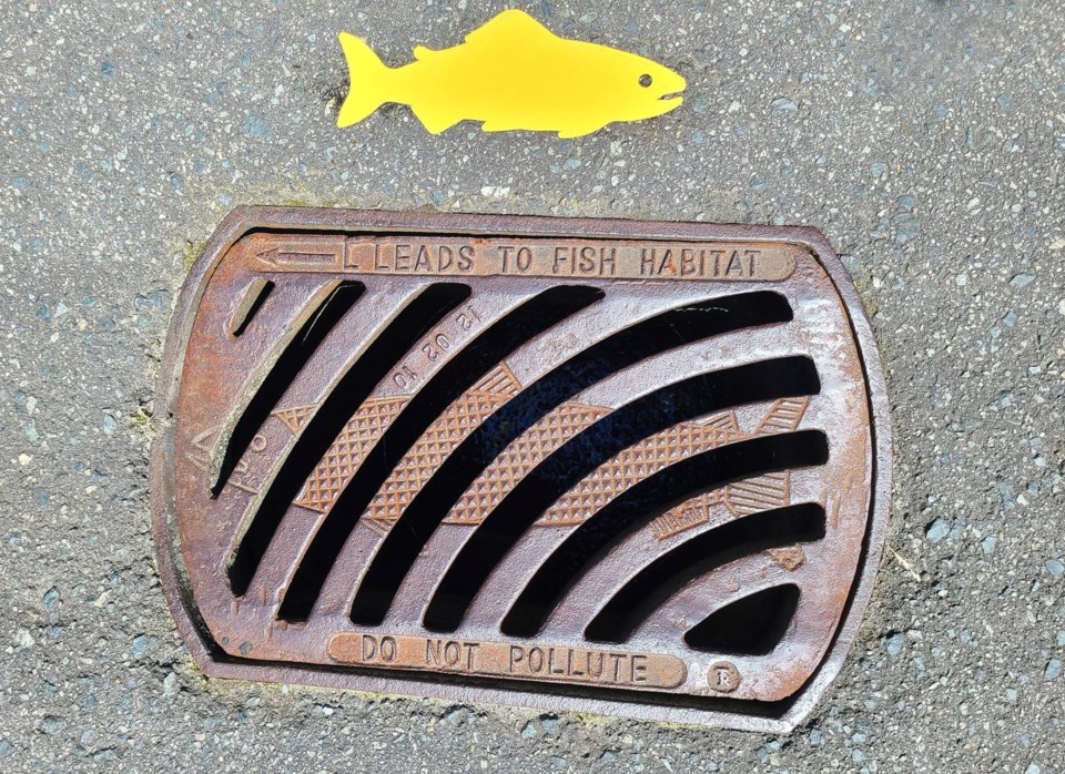 storm-drain