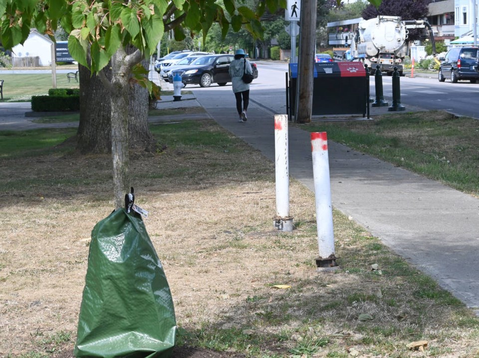 web1_city-of-delta-tree-bags