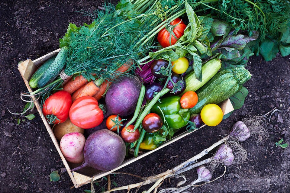web1_box-of-garden-veggies
