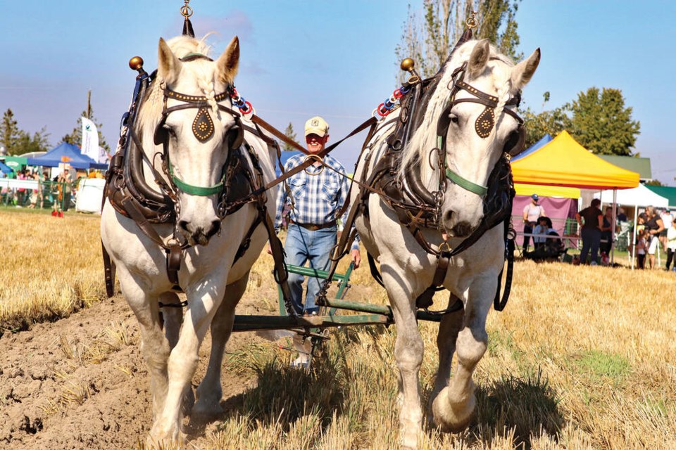 Day at the Farm, one of Delta’s most popular late-summer family events, returns to Westham Island Herb Farm (4690 Kirkland Road) on Saturday, Sept. 7, from 10 a.m. to 4 p.m. Optimist file photos 