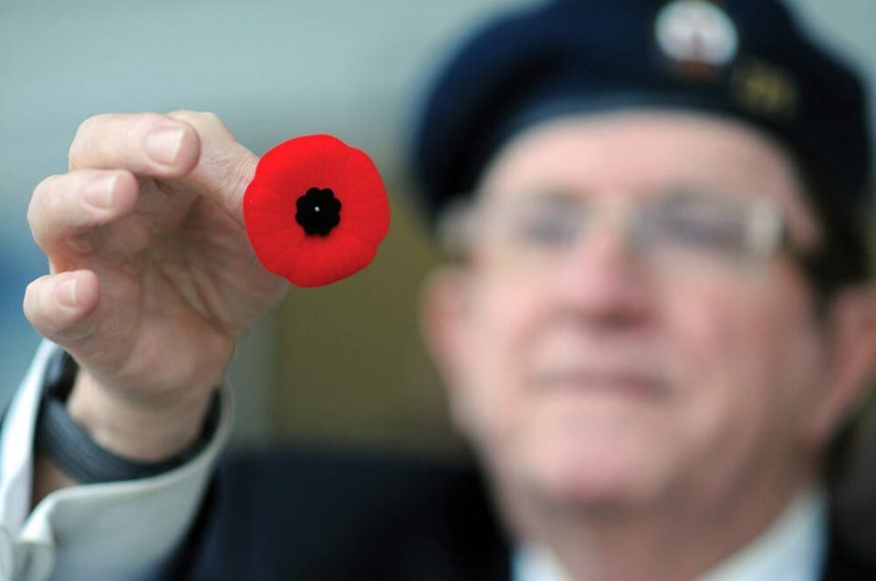 web1_1631990-poppy-campaign-2