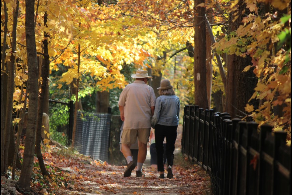 Enjoying a nice walk through the seasonal colours on a warm fall day.