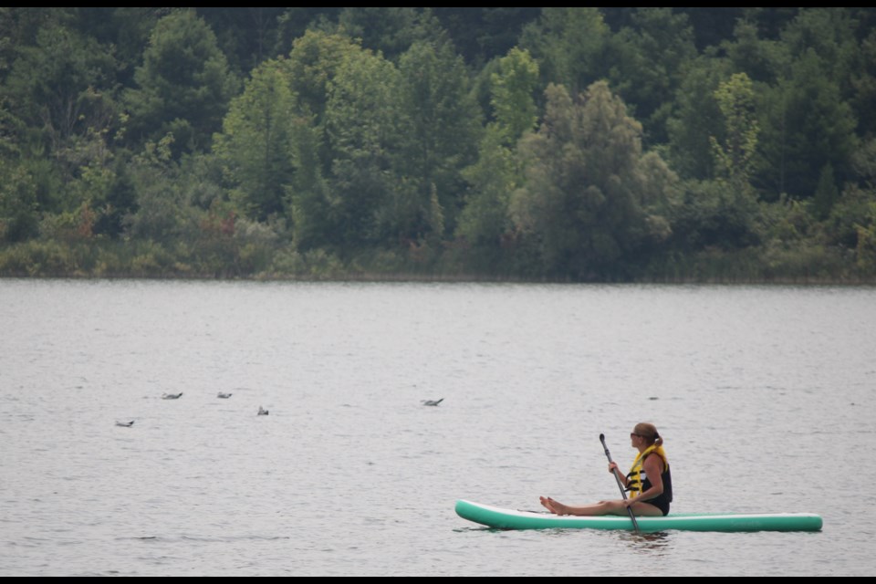 No shortage of paddle boaters enjoying the scenery at Guelph Lake Conservation Area.