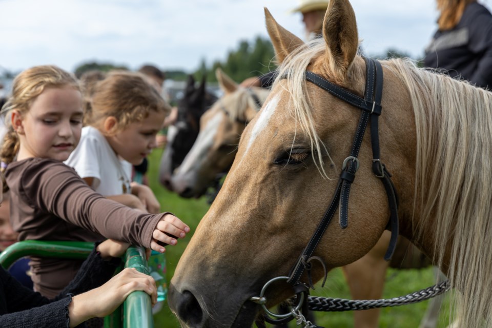 cutting-edge-cowgirls-meet-and-greet