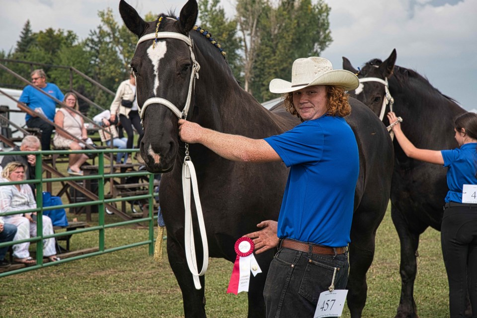 fergus-fall-fair-heavy-horse-show