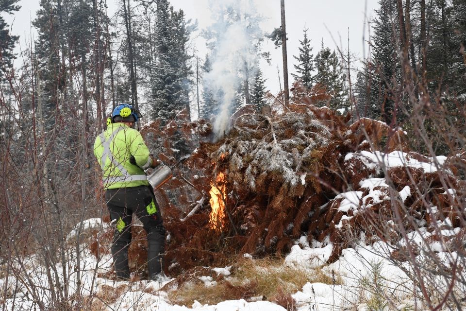 Parks Canada burns dead trees removed last year on Pyramid Bench west of the Jasper townsite on Wednesday, Dec. 18, 2024.