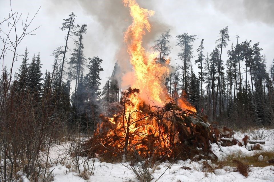 Wildfire Risk Reduction Work Resuming In Jasper National Park 