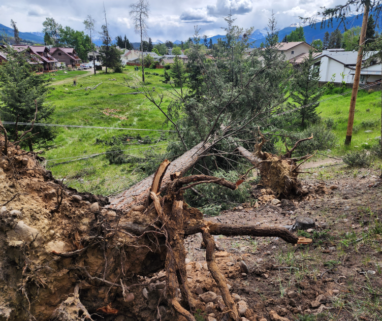 ATCO reported a power outage caused by a tree that took down a line behind Aspen Crescent and Bonhomme Street on June 14. The Jasper Fire Department promptly responded and extinguished a small fire related to the incident.