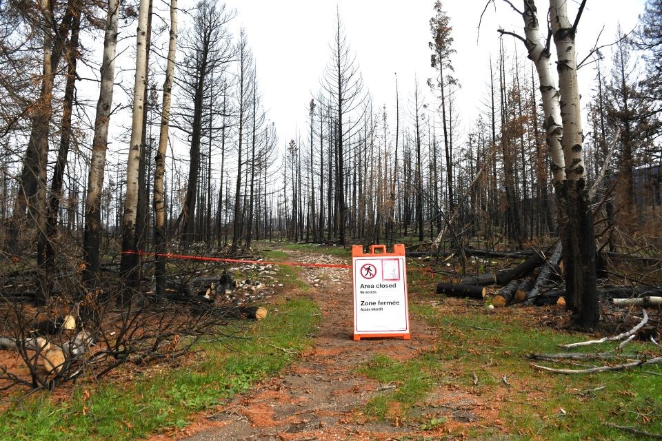 A closed-off side trail along the Old Fort Point loop trail in Jasper National Park on Saturday, Sept. 28, 2024.