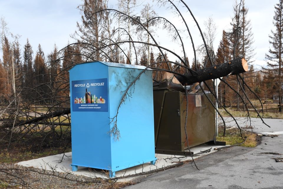 A fire-damaged tree on top of a bear-proof trash container at Whistlers Campground in Jasper National Park on Thursday, Nov. 14, 2024.