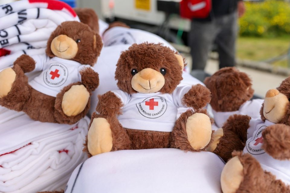 red-cross-teddy-bears-web-photo