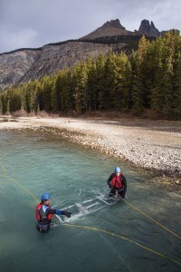 Testing a river turbine_R. Bray Parks Canada 03