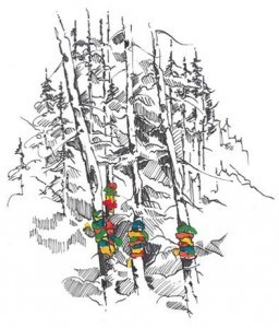 An illustration of a Ribbon Tree. Taking pictures of a Ribbon Tree is forbidden. Image - Parks Canada